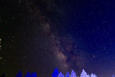 Low angle view of stars in sky at night