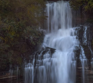 Scenic view of waterfall in forest