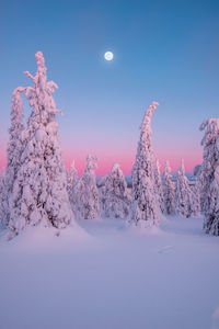 Scenic view of snow covered land against blue sky