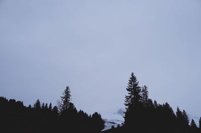 Low angle view of trees against clear sky