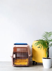 Plastic pet carrier or pet cage with yellow travel case on the floor at home, pet corner, copy space