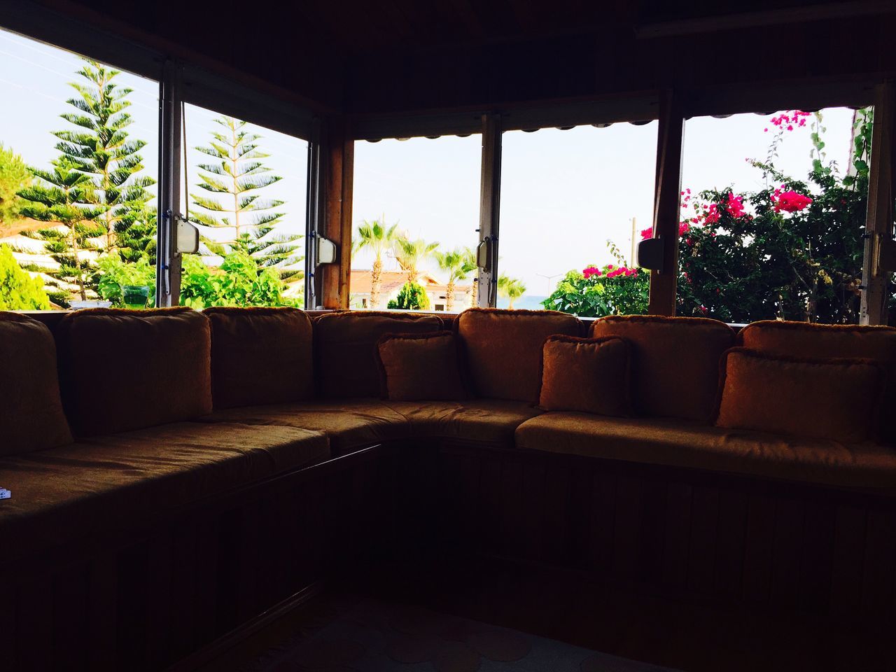 indoors, window, tree, plant, built structure, glass - material, transparent, architecture, growth, house, potted plant, day, sunlight, no people, home interior, railing, absence, empty, nature, clear sky