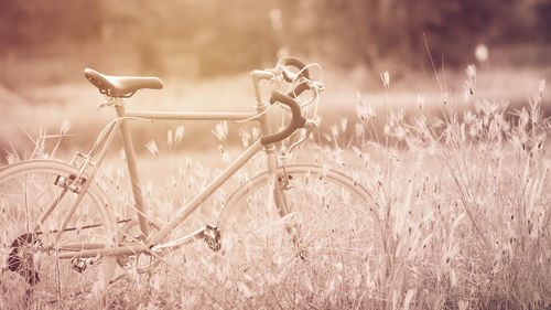 Abandoned bicycle on field