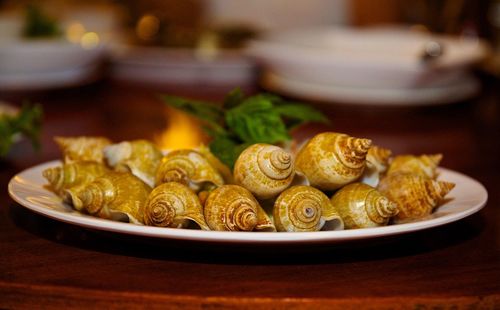 Close-up of food in bowl