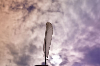 Low angle view of feather against cloudy sky