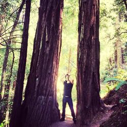 Man standing on tree trunk in forest