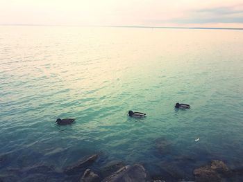 Scenic view of sea against sky