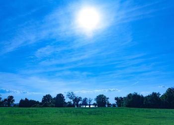 Trees on field against cloudy sky