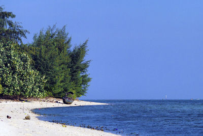 Scenic view of sea against clear sky