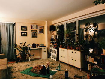 Potted plants on table at home