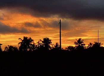 Silhouette trees and plants against dramatic sky during sunset