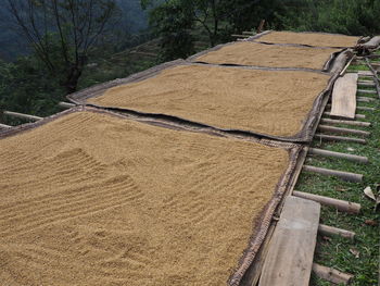 High angle view of agricultural field