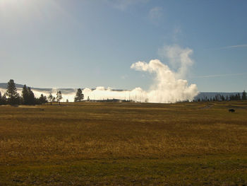 A geyser in yellowstone national park