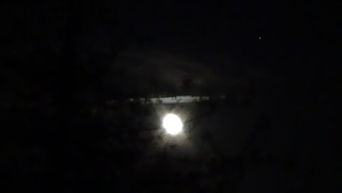 Low angle view of moon at night