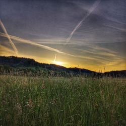 Scenic view of field against sky during sunset