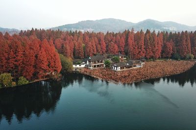 Scenic view of autumn trees against sky