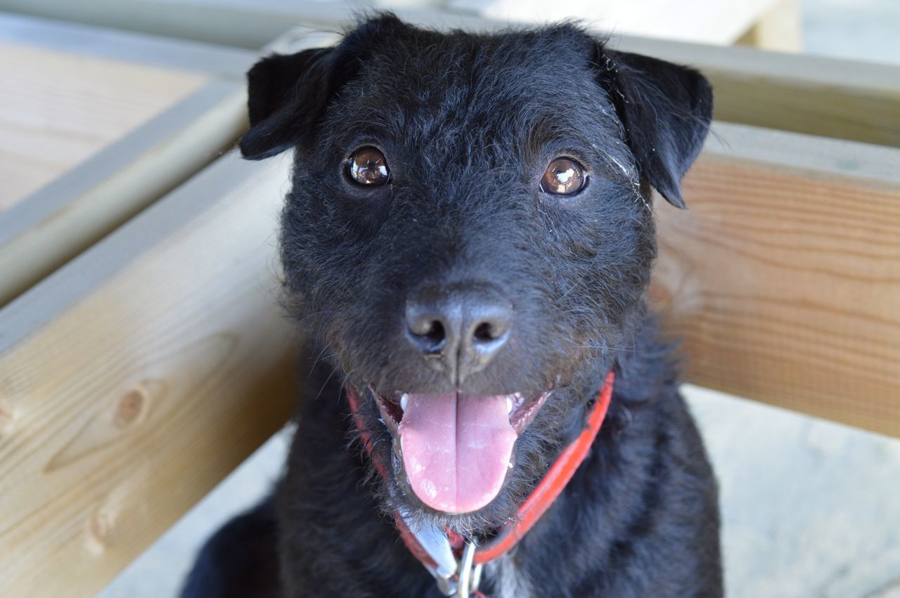 Patterdale