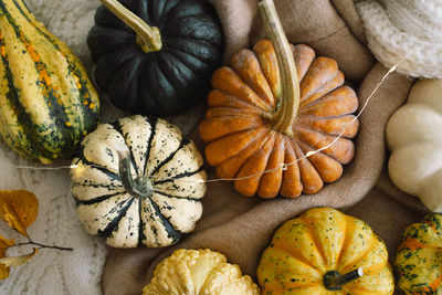 Multicolored pumpkins and dry autumn leaves on wooden background.