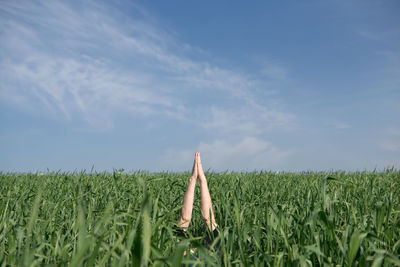 Agricultural field against sky