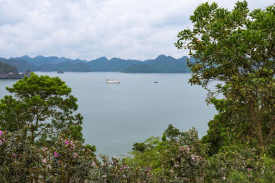 Scenic view of bay against sky