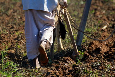 Low section of man working in farm