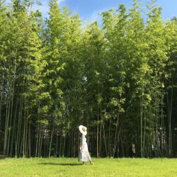 Full length of girl standing by tree on field