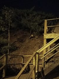 Footbridge over trees at night