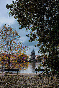 View of river with trees in background