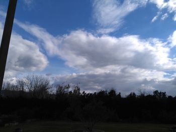 Low angle view of trees against sky