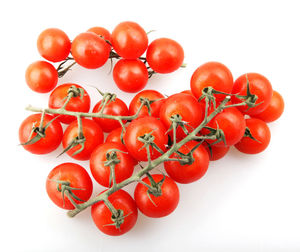 Close-up of tomatoes against white background