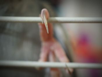 Close-up of hand holding rope hanging on railing