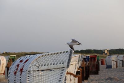 Seagull on wooden post at beach against sky