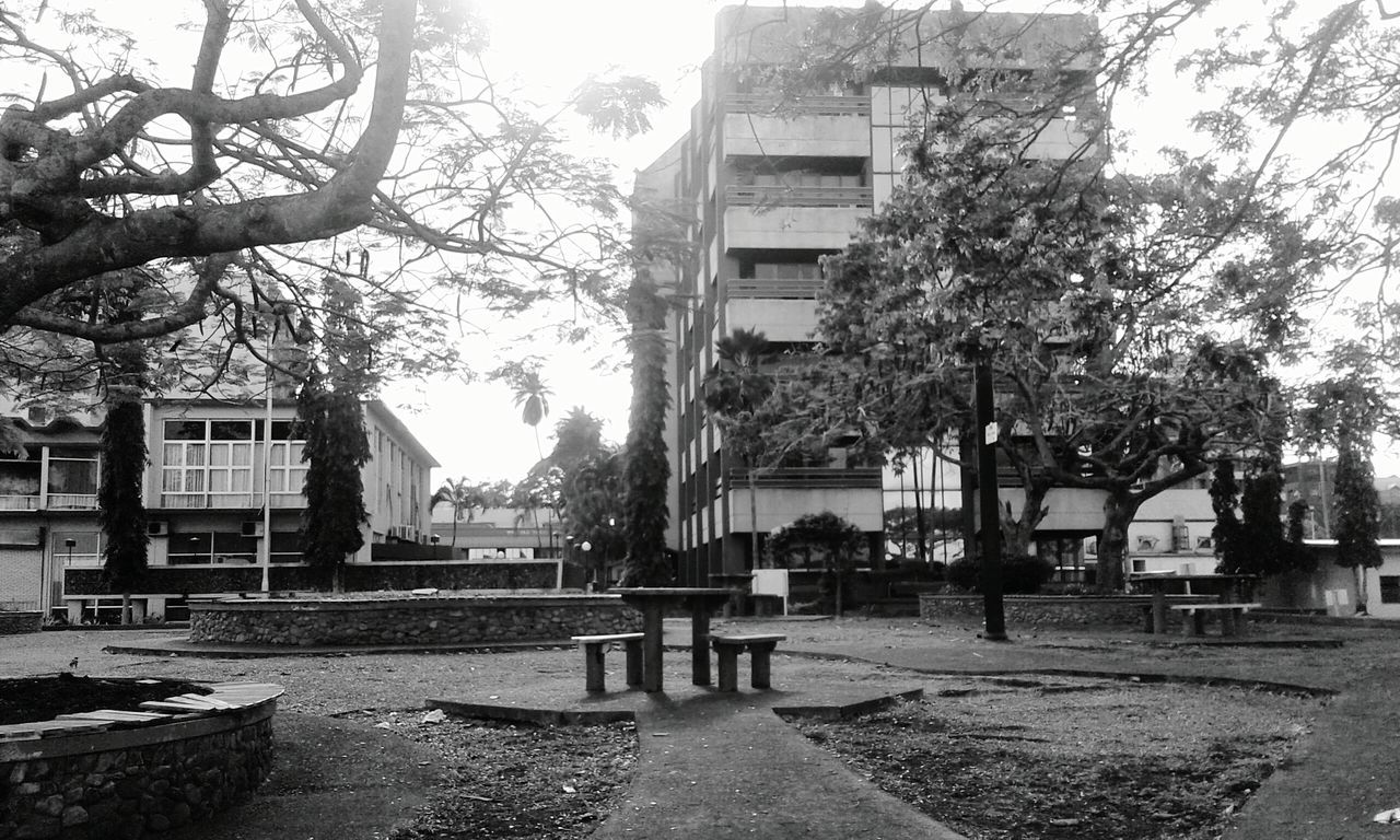 architecture, building exterior, built structure, tree, bench, residential building, residential structure, empty, city, park bench, lawn, footpath, outdoors, day, sky, city life, residential district