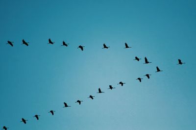 Low angle view of birds flying in sky