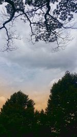 Low angle view of silhouette trees against sky