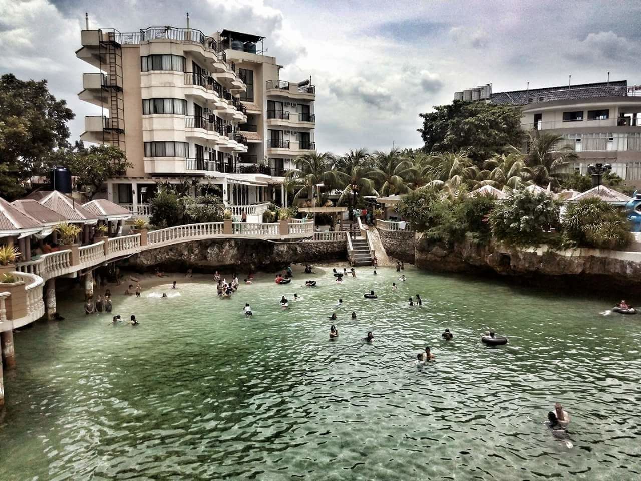 water, bird, large group of animals, architecture, animal themes, swimming, built structure, tree, building exterior, animals in the wild, waterfront, day, outdoors, large group of people, goose, nature, swan, animal wildlife, sky, people