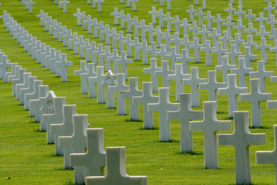 Row of cemetery