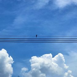 Low angle view of birds perching on cable