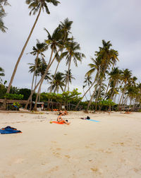 Palm trees on beach against sky