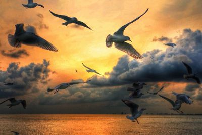 Seagulls flying over sea against cloudy sky