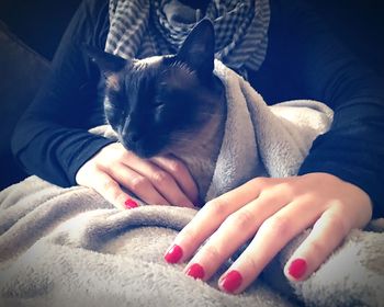 Midsection of woman with cat wrapped in blanket resting at home