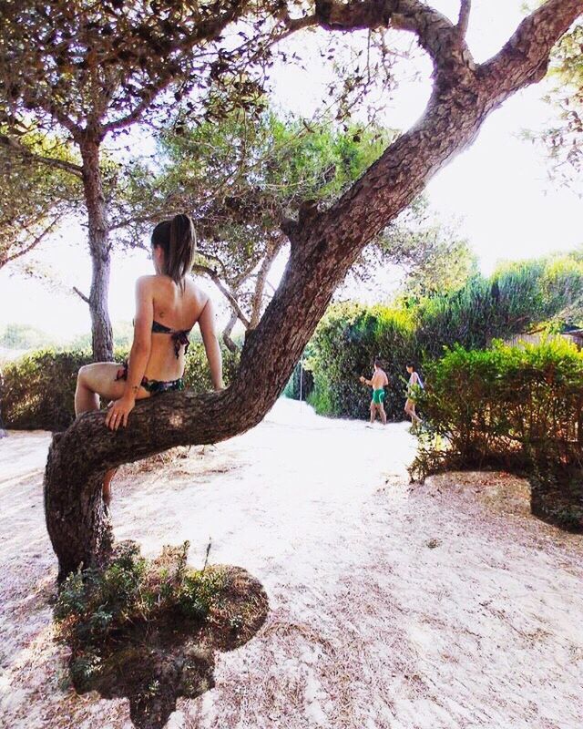 COUPLE SITTING ON TREE TRUNK