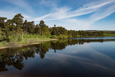 Scenic view of lake by trees against sky