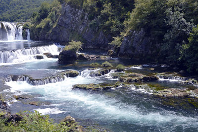 Scenic view of waterfall in forest