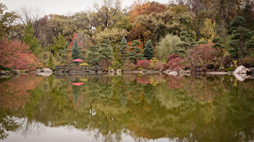 Trees by lake against sky