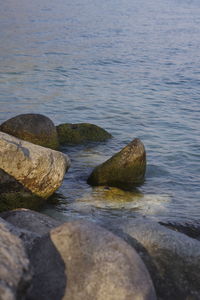 Surface level of rocks in sea