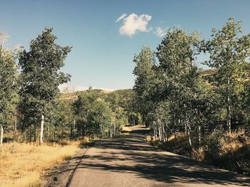 Empty road amidst trees against sky