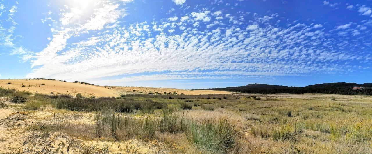 SCENIC VIEW OF LAND AGAINST SKY