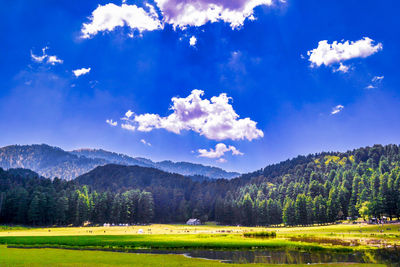 Scenic view of field against sky