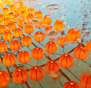 Reflection of chinese lanterns in puddle